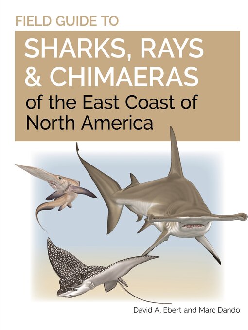 Title details for Field Guide to Sharks, Rays and Chimaeras of the East Coast of North America by David A. Ebert - Available